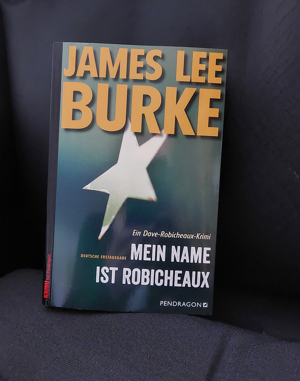 Mein Name ist Robicheaux – James Lee Burke