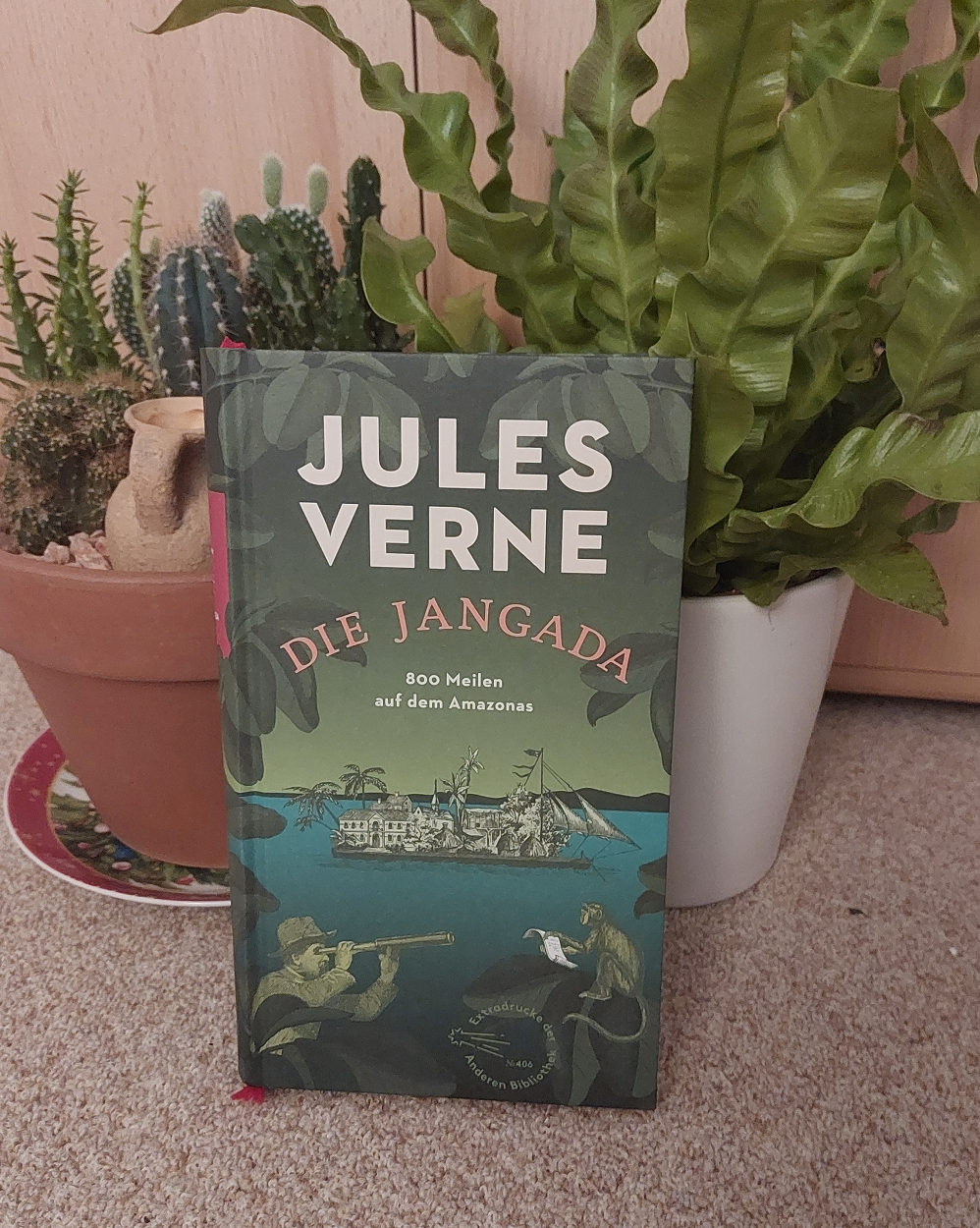 Cover: Die Jangada - Jules Verne